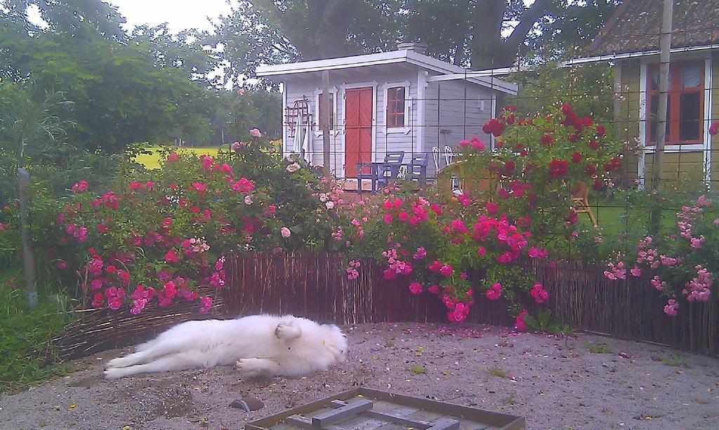 Borakra Bed & Breakfast Карлскруна Екстер'єр фото